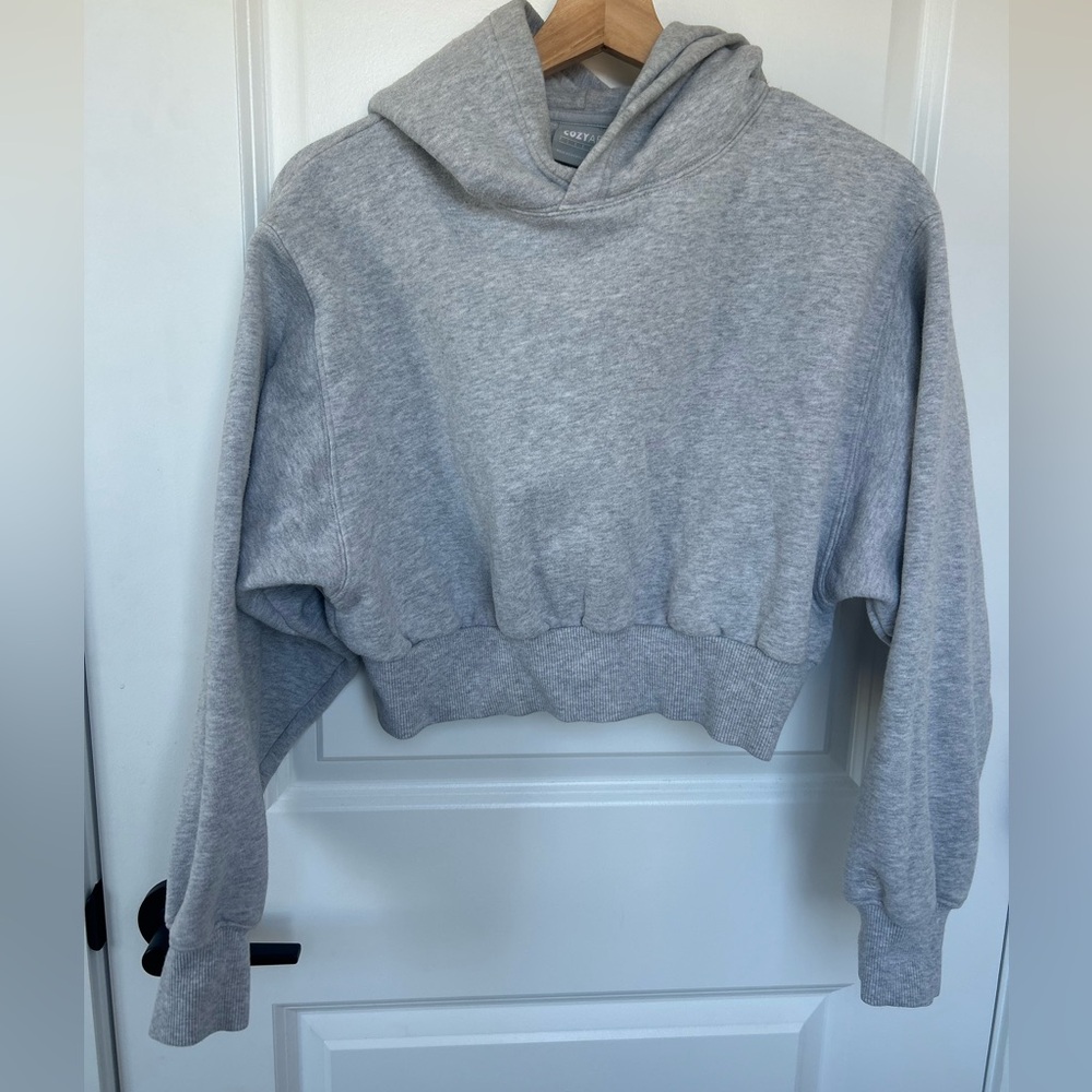 Aritzia TNA CozyAF Fleece Hoodie